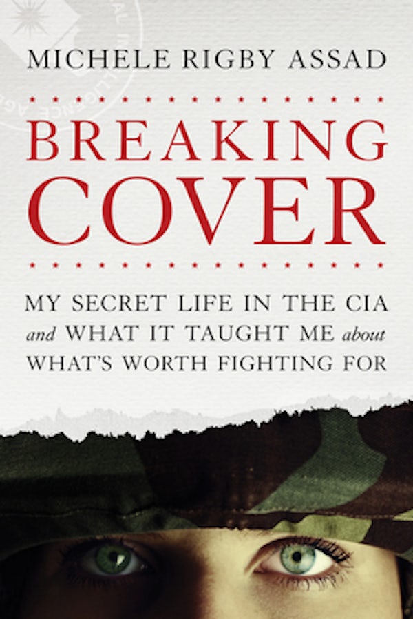 Cover image for Breaking Cover, isbn: 9781496419606