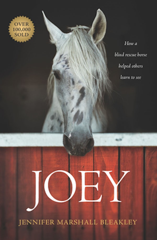 Cover image for Joey, isbn: 9781496421753