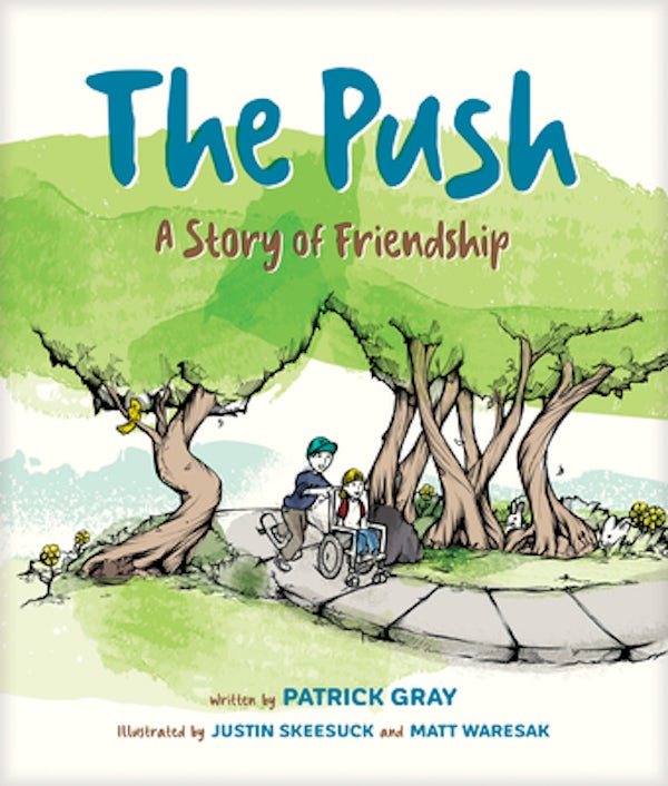 Cover image for The Push, isbn: 9781496428806