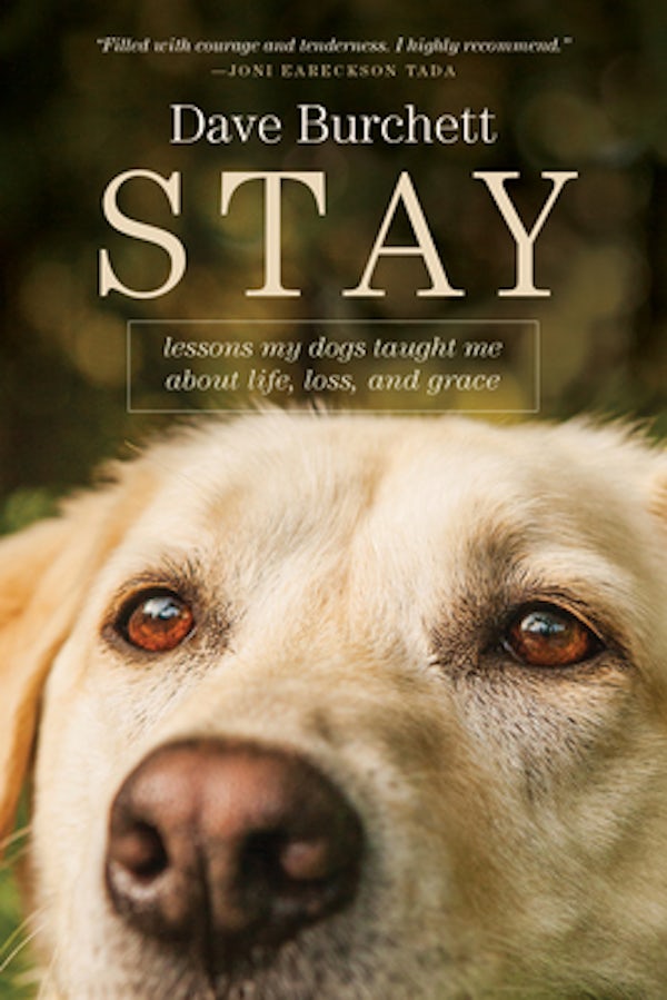 Cover image for Stay, isbn: 9781496443014