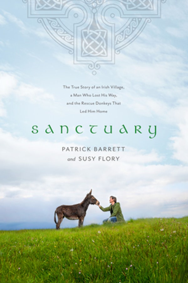 Cover image for Sanctuary, isbn: 9781496445018