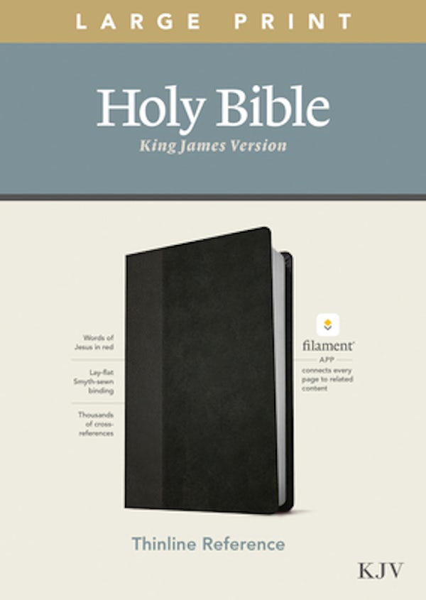 Cover image for KJV Large Print Thinline Reference Bible, Filament Enabled Edition (Red Letter, Leatherlike, Black/Onyx), isbn: 9781496447159