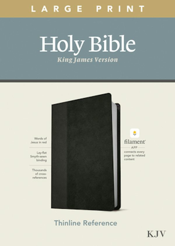 Cover image for KJV Large Print Thinline Reference Bible, Filament Enabled Edition (Red Letter, Leatherlike, Black/Onyx), isbn: 9781496447159
