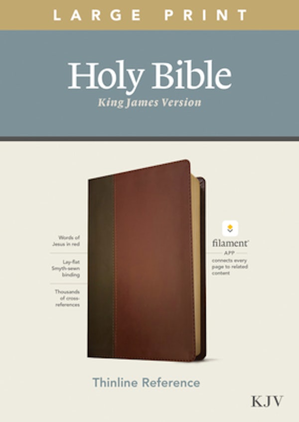 Cover image for KJV Large Print Thinline Reference Bible, Filament Enabled Edition (Red Letter, Leatherlike, Brown/Mahogany), isbn: 9781496447166