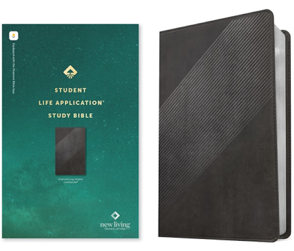 Cover image for NLT Student Life Application Study Bible, Filament Enabled (Leatherlike, Charcoal Gray Striped, Red Letter), isbn: 9781496449634