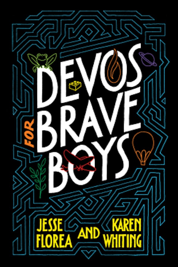 Cover image for Devos for Brave Boys, isbn: 9781496451163