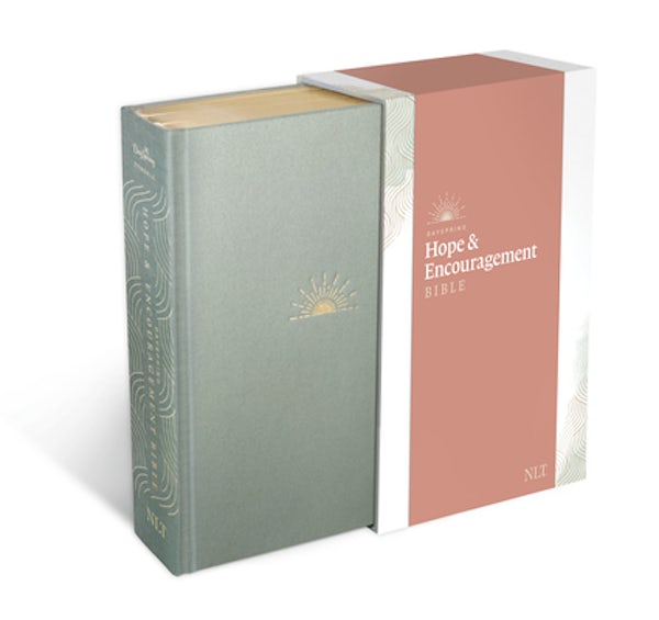 Cover image for NLT Dayspring Hope & Encouragement Bible (Hardcover Deluxe, Seafoam Green), isbn: 9781496452979