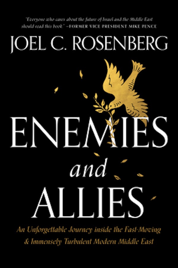 Cover image for Enemies and Allies, isbn: 9781496453815