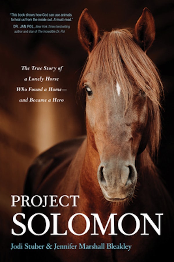 Cover image for Project Solomon, isbn: 9781496455314