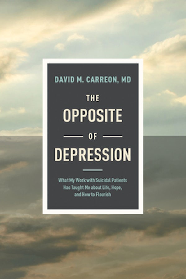 Cover image for The Opposite of Depression, isbn: 9781496455352