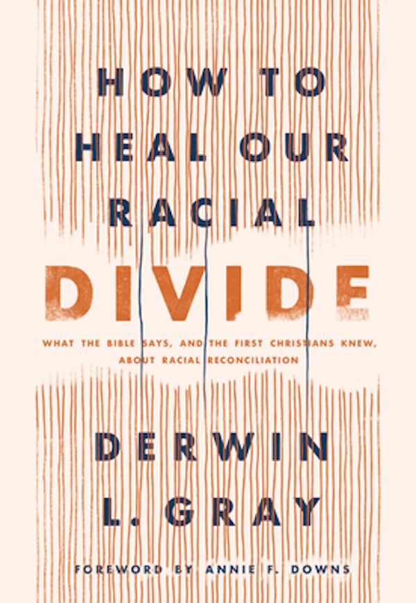 Cover image for How to Heal Our Racial Divide, isbn: 9781496458803