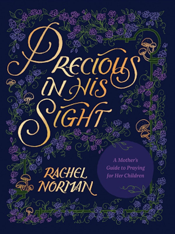 Cover image for Precious in His Sight, isbn: 9781496459848