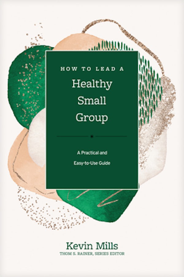 Cover image for How to Lead a Healthy Small Group, isbn: 9781496462046