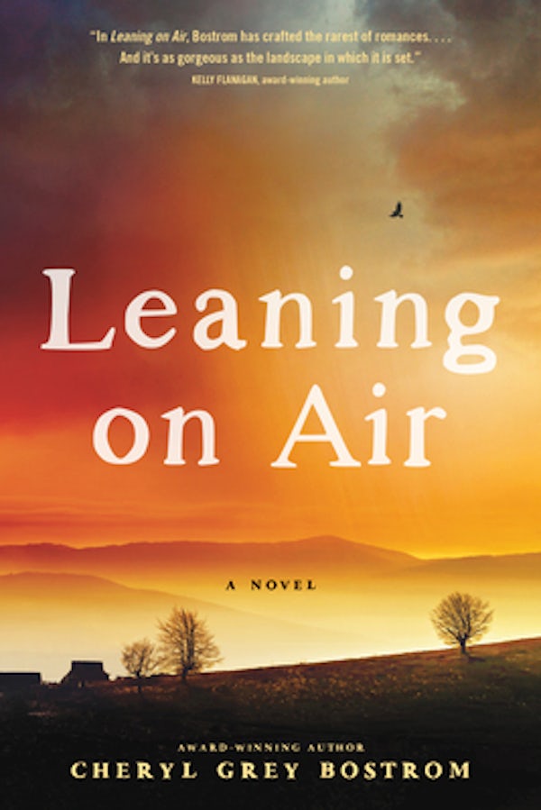 Cover image for Leaning on Air, isbn: 9781496481535