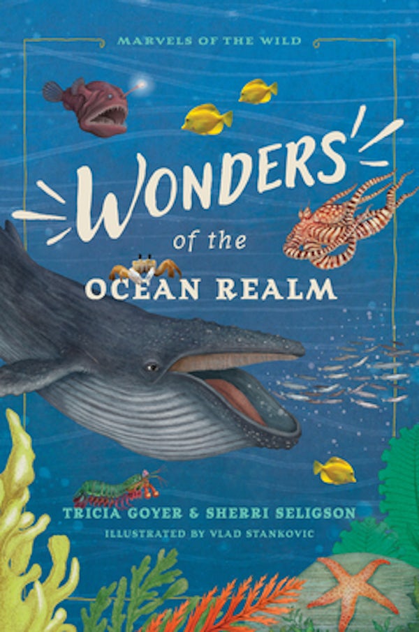 Cover image for Wonders of the Ocean Realm, isbn: 9781496486462