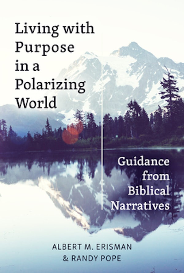 Cover image for Living with Purpose in a Polarizing World, isbn: 9781496487155