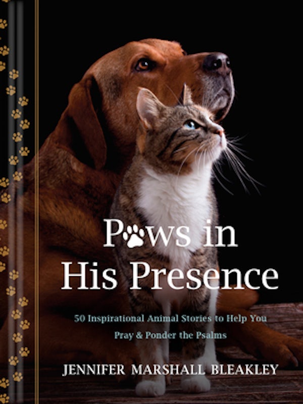 Cover image for Paws in His Presence, isbn: 9781496487711