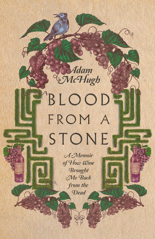 Cover image for Blood from a Stone, isbn: 9781514000885