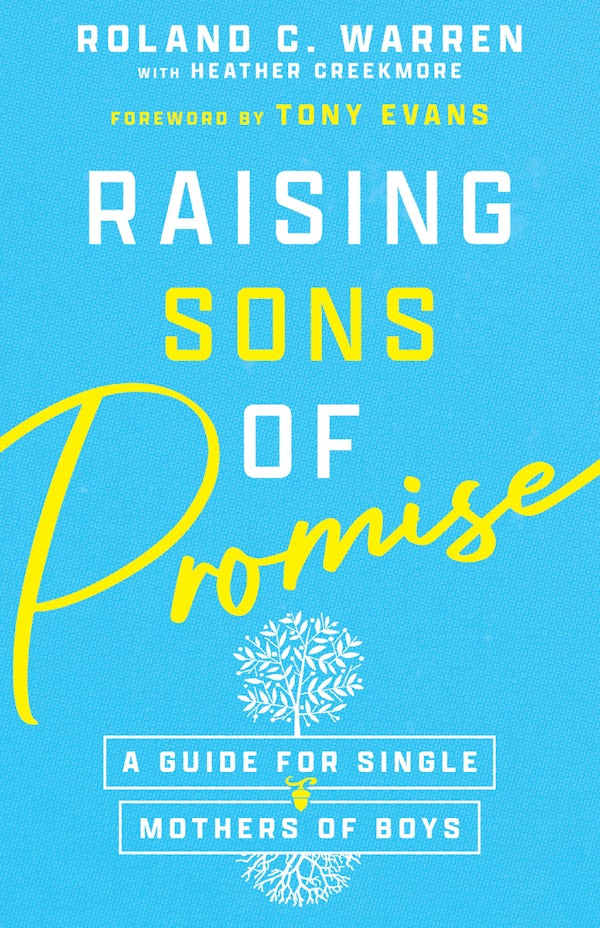 Cover image for Raising Sons of Promise, isbn: 9781514002896