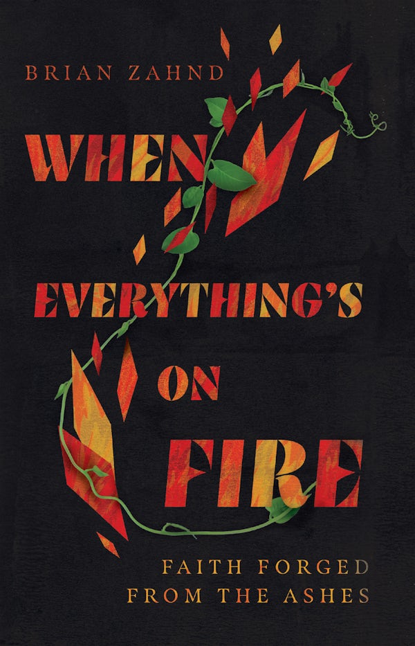 Cover image for When Everything's on Fire, isbn: 9781514003336