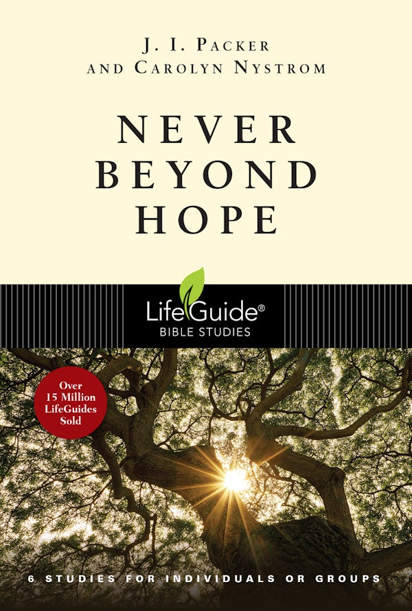 Cover image for Never Beyond Hope, isbn: 9781514005064