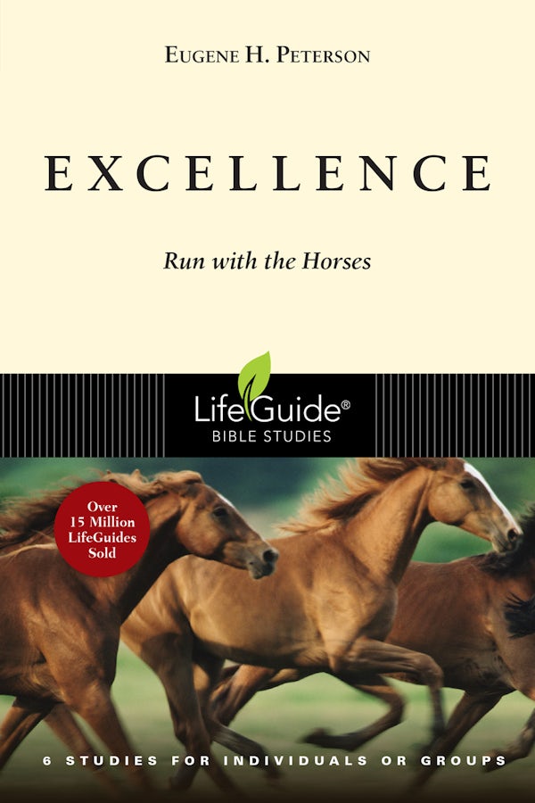 Cover image for Excellence, isbn: 9781514006023