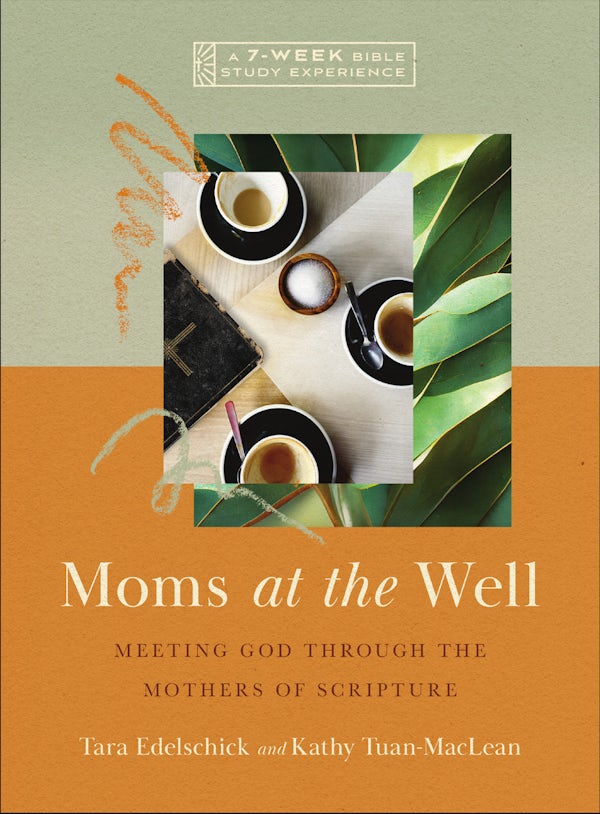 Cover image for Moms at the Well, isbn: 9781514006788