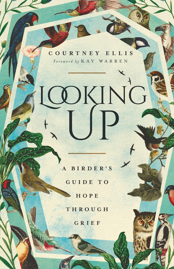 Cover image for Looking Up, isbn: 9781514007167