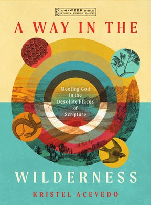 Cover image for A Way in the Wilderness, isbn: 9781514009284
