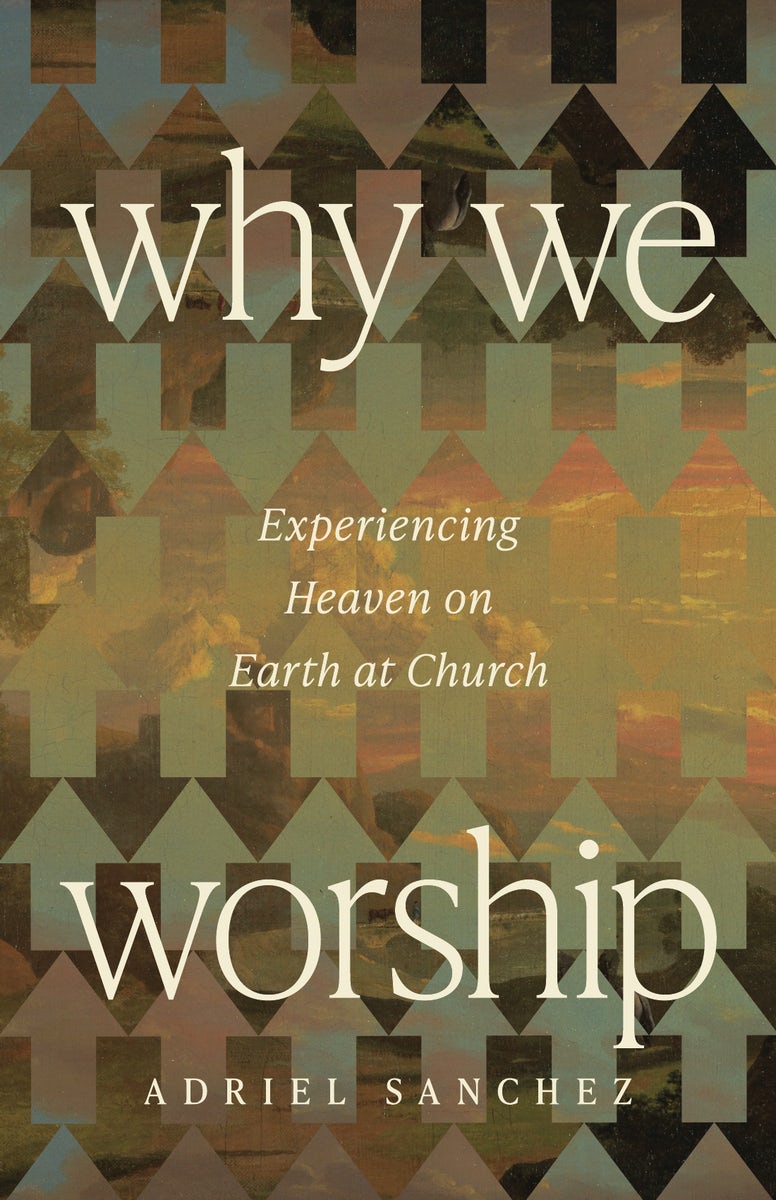 Cover image for Why We Worship, isbn: 9781514010754