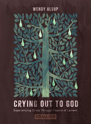 Cover image for Crying Out to God, isbn: 9781514010891