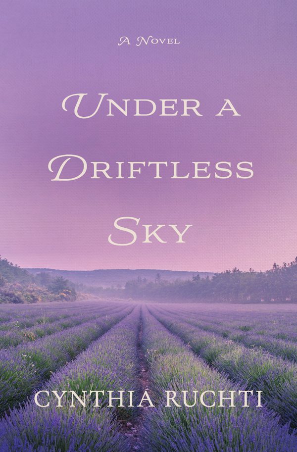 Cover image for Under a Driftless Sky, isbn: 9781514014943