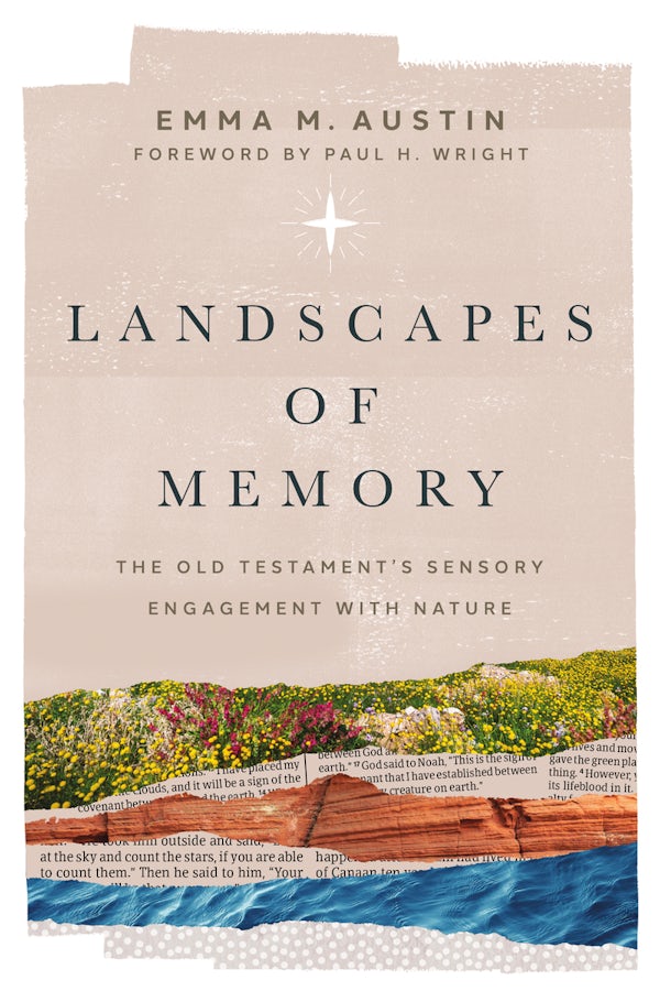 Cover image for Landscapes of Memory, isbn: 9781514015254