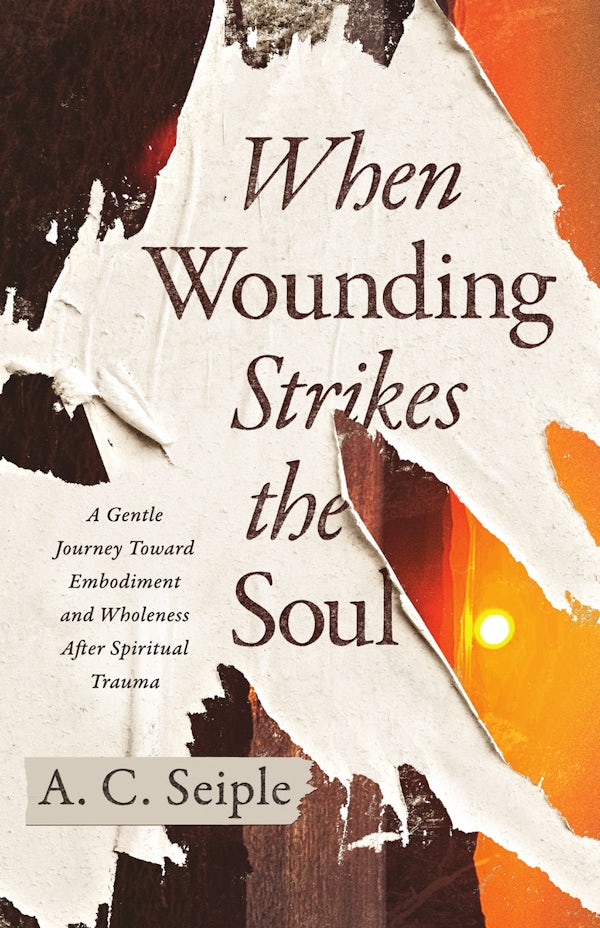 Cover image for When Wounding Strikes the Soul, isbn: 9781514018521