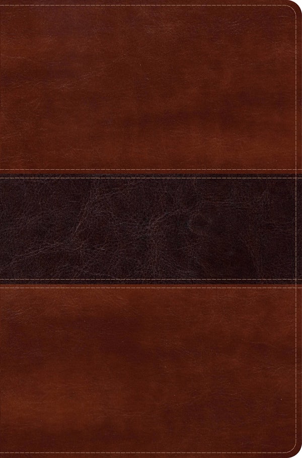 Cover image for Rvr 1960 Biblia del Pescador Letra Grande, Caoba S�mil Piel, isbn: 9781535908177