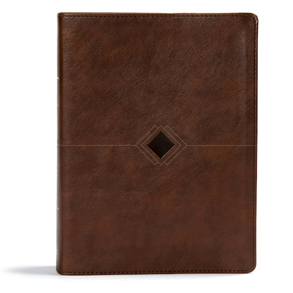 Cover image for CSB Day-By-Day Chronological Bible, Brown Leathertouch, isbn: 9781535925600