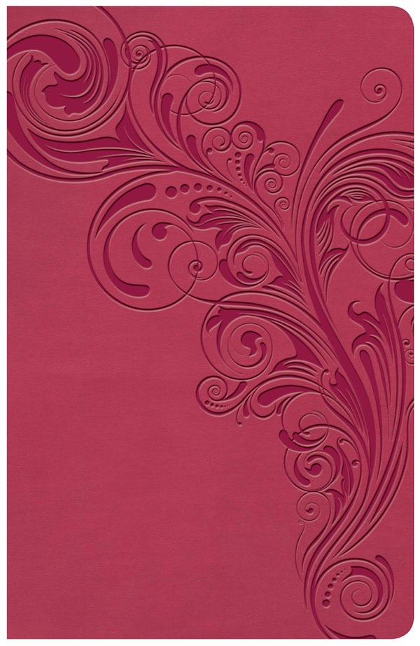 Cover image for KJV Large Print Personal Size Reference Bible, Pink Leathertouch Indexed, isbn: 9781535935661