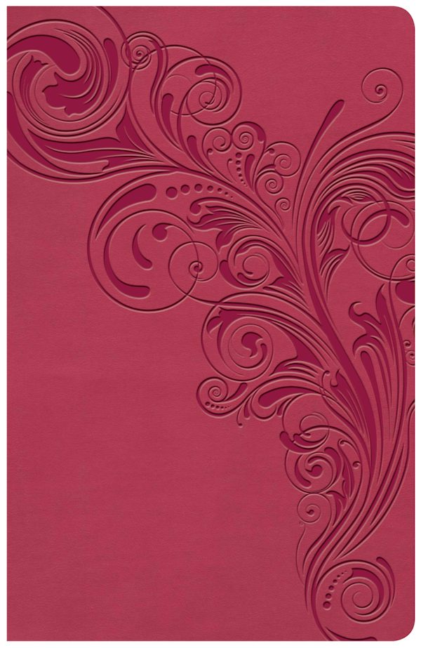 Cover image for KJV Large Print Personal Size Reference Bible, Pink Leathertouch Indexed, isbn: 9781535935661