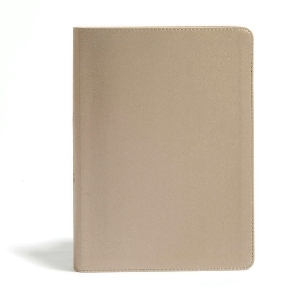 Cover image for CSB She Reads Truth Bible, Champagne Gold Leathertouch, Indexed, isbn: 9781535970983