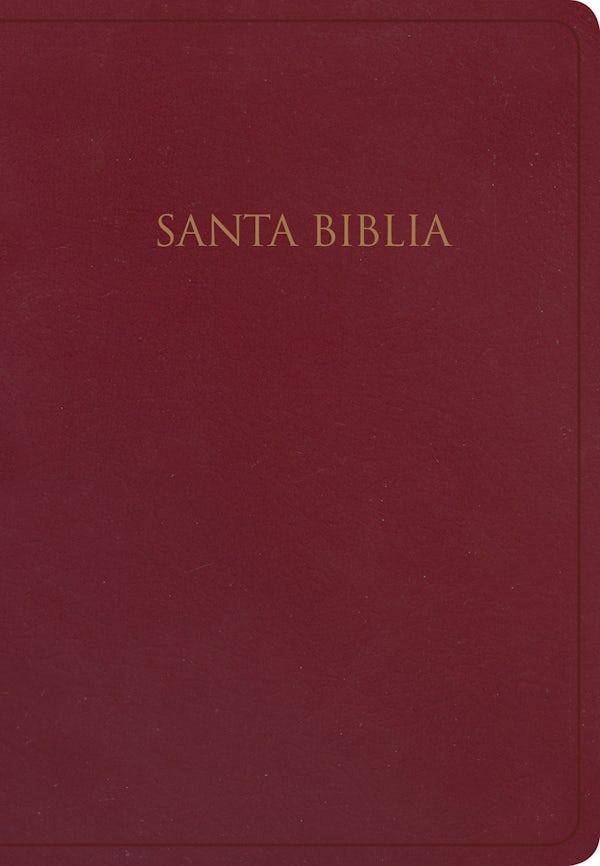Cover image for Rvr 1960 Biblia Para Regalos Y Premios, Borgo�a Imitaci�n Piel, isbn: 9781535991087