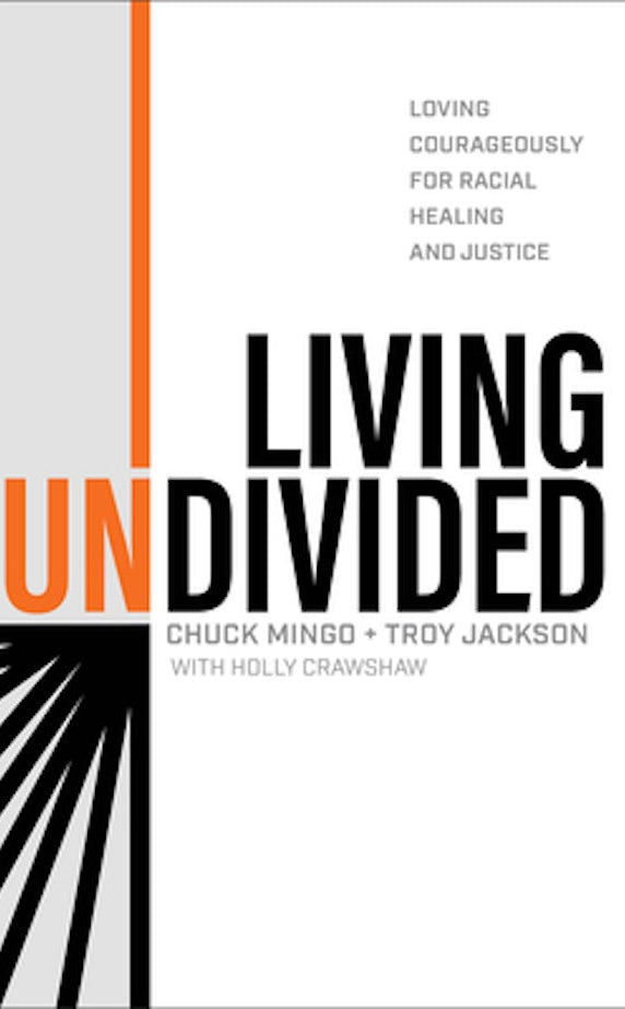Cover image for Living Undivided, isbn: 9781540902283