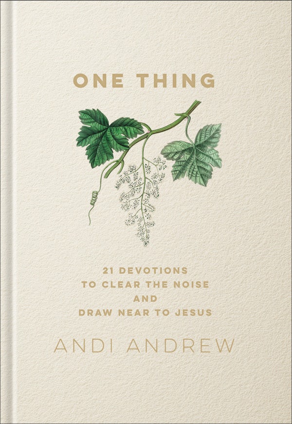 Cover image for One Thing, isbn: 9781540903501