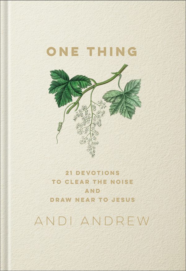 Cover image for One Thing, isbn: 9781540903501