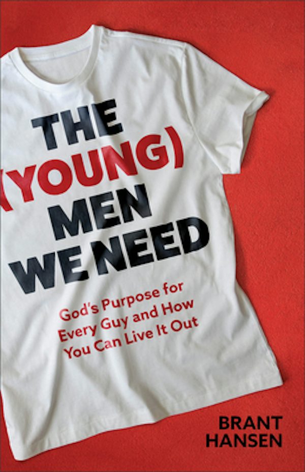 Cover image for The (Young) Men We Need, isbn: 9781540903693