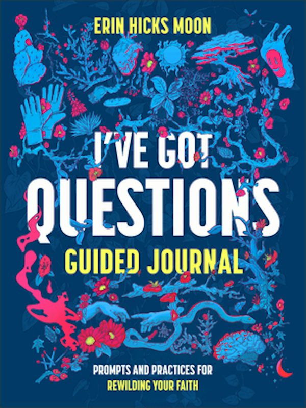 Cover image for I've Got Questions Guided Journal, isbn: 9781540904096