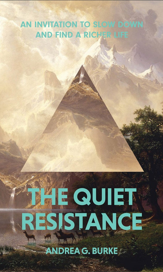 Cover image for The Quiet Resistance, isbn: 9781540905420