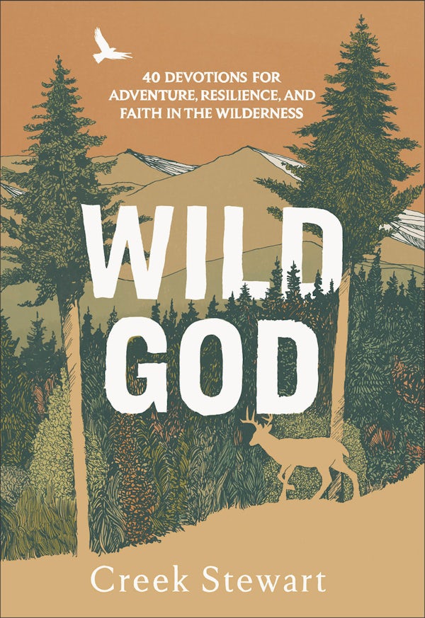 Cover image for Wild God, isbn: 9781540905710