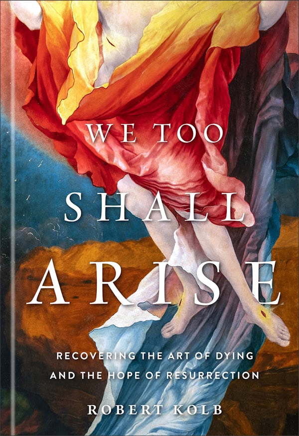 Cover image for We Too Shall Arise, isbn: 9781540905932