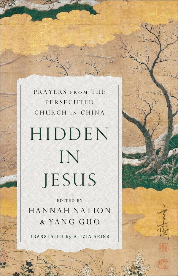 Cover image for Hidden in Jesus, isbn: 9781540905970