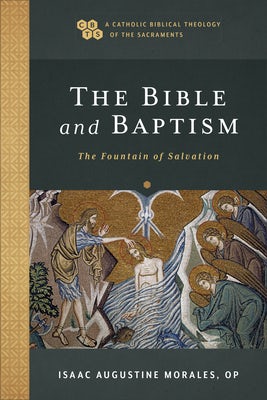 Cover image for The Bible and Baptism, isbn: 9781540961785
